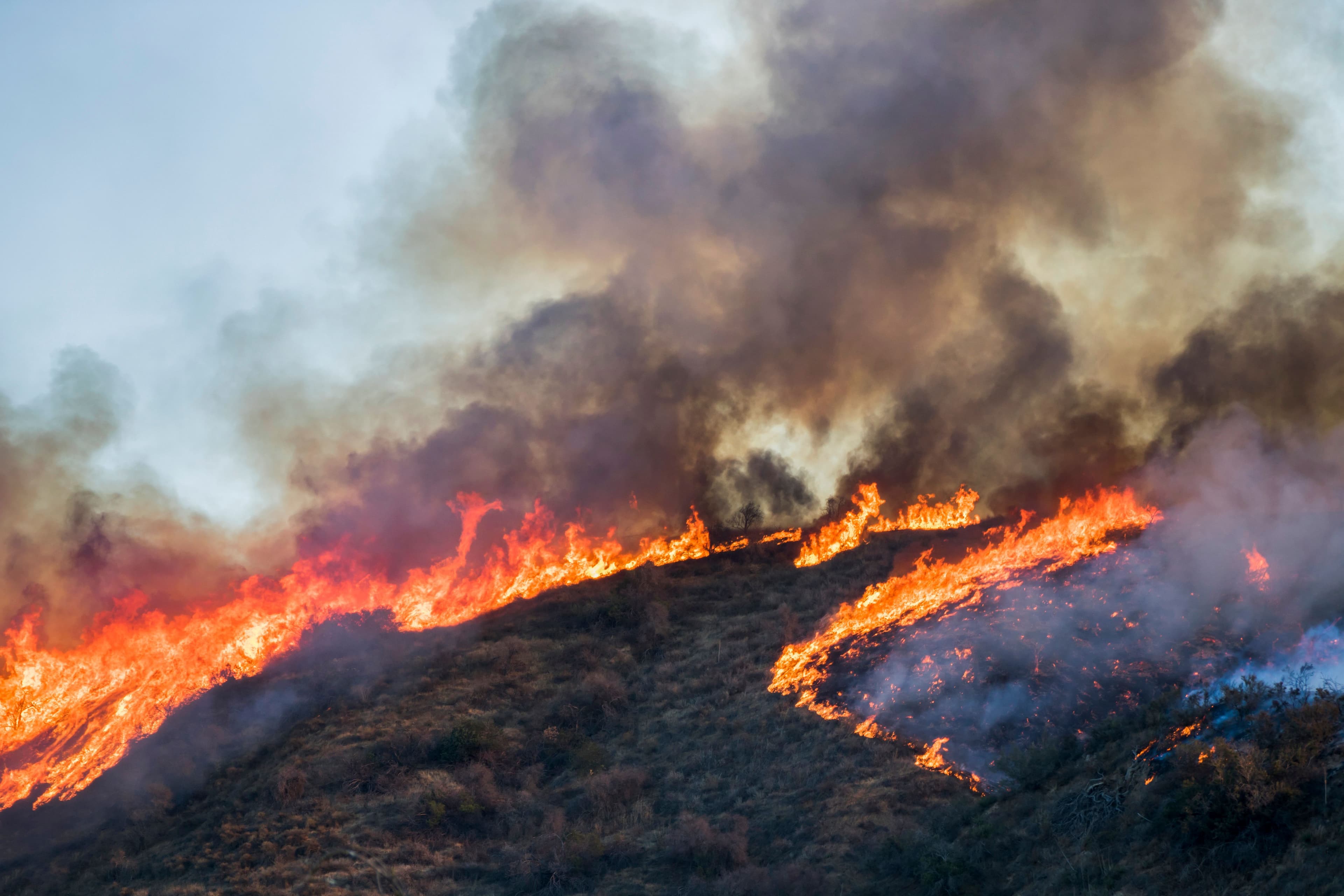 The Woolsey Fire: Understanding Legal Accountability After a Devastating Wildfire