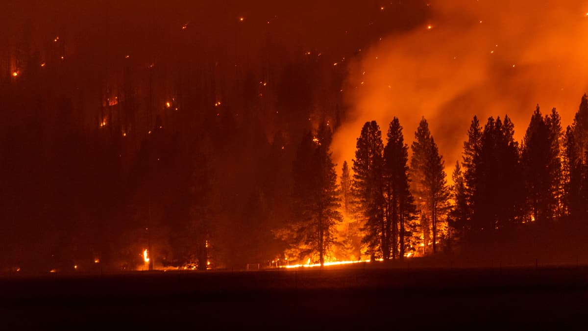 Underinsured Wildfire Losses