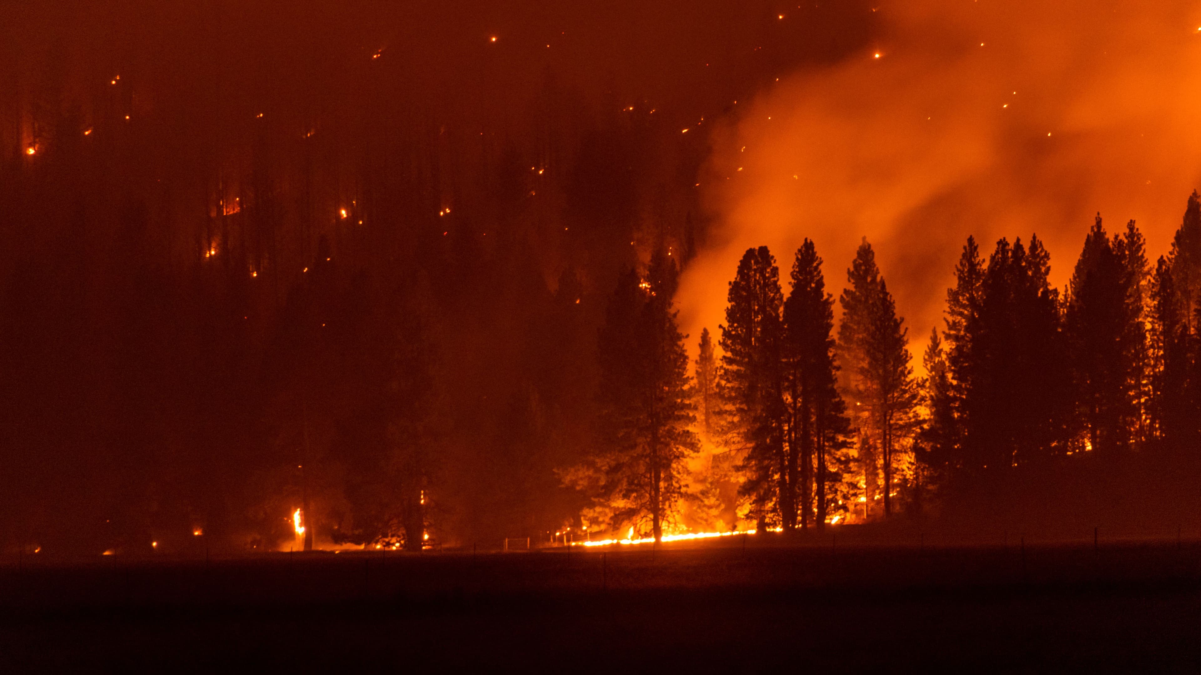 Underinsured Wildfire Losses