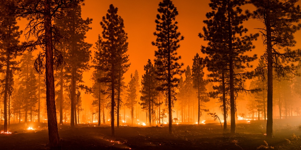 Northern California Wildfire Lawyer